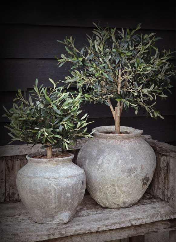 OLIVE TREES GARDEN POSTER