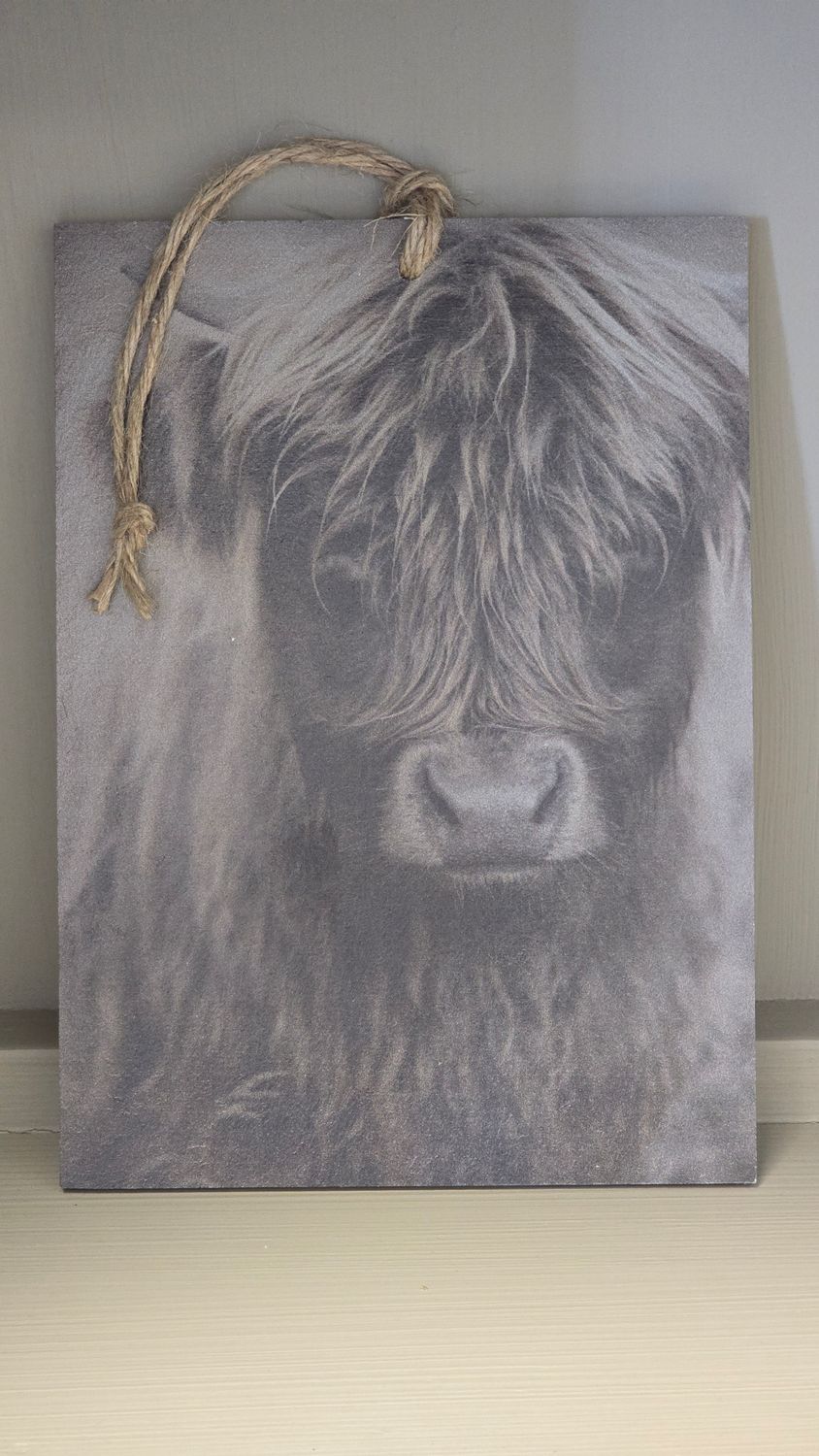 HIGHLANDER IMAGE ON AN A5 DECOR BOARD HIGHLANDER IMAGE ON AN A5 DECOR BOARD