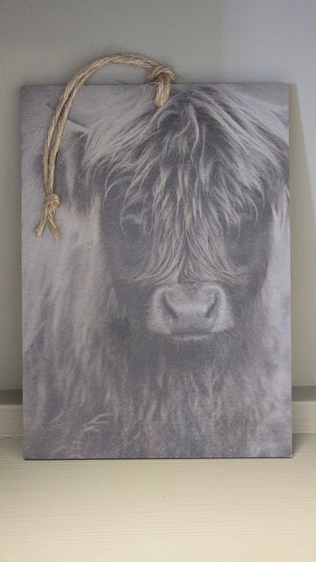 HIGHLANDER IMAGE ON AN A5 DECOR BOARD
