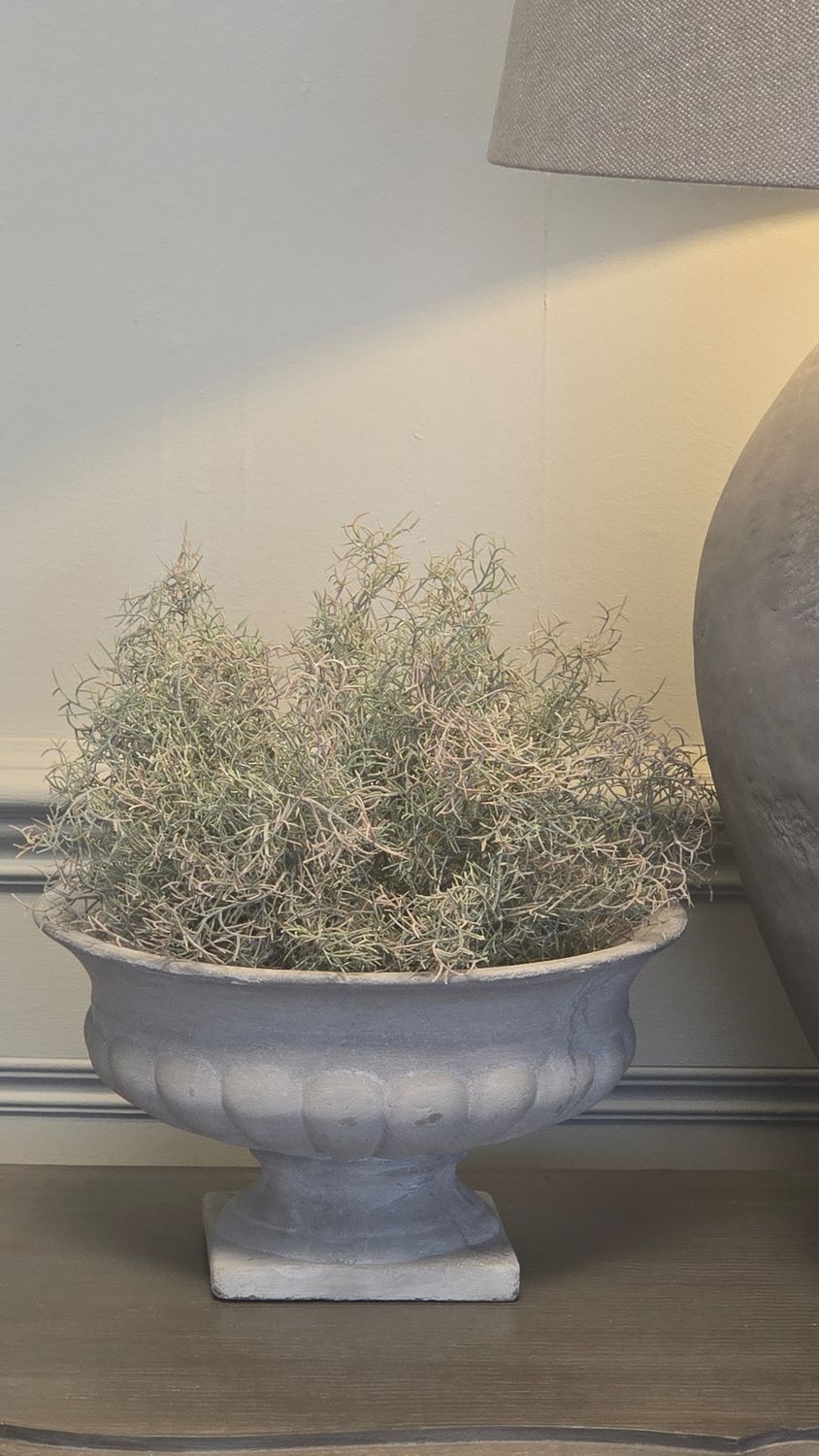 PETRA CEMENT POT WIDE PETRA CEMENT POT WIDE