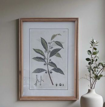 LEAF PRINT 201