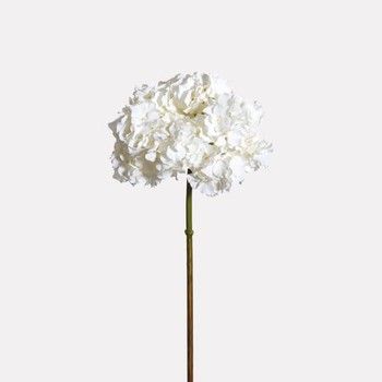 ELEGANT WHITE HYDRANGEA