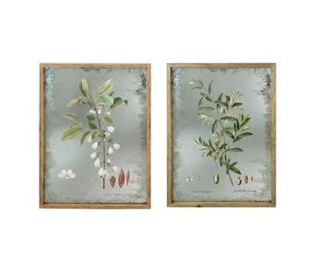 SET OF 2 FLORAL MIRRORED FRONT PRINTS