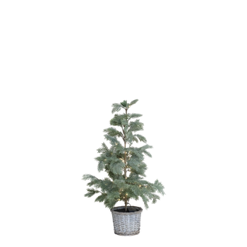 FAUX PINE TREE IN A BASKET WITH 60 LED LIGHTS 90cm TALL