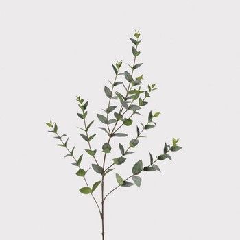 GREEN EUCALYPTUS SPRAY