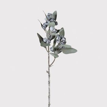 EUCALYPTUS BERRY SPRAY