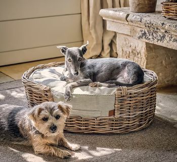 BEMBRIDGE MEDIUM RATTAN PET BED AND OAKLANDS STRIPE PET CUSHION