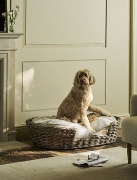 BEMBRIDGE XL RATTAN PET BED AND OAKLANDS STRIPE PET CUSHION BEMBRIDGE XL RATTAN PET BED AND OAKLANDS STRIPE PET CUSHION