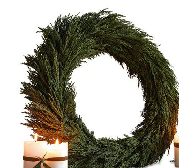 PRESERVED CYPRESS WREATH 50cm