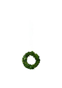 MINI PRESERVED BOXWOOD WREATH