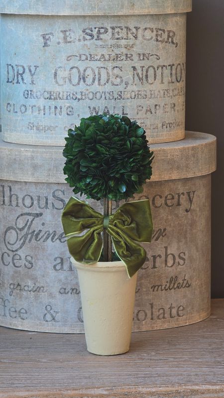 PRESERVED BOXWOOD TOPIARY WITH GREEN VELVET BOW