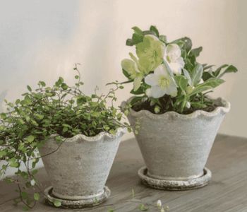 CARDEN PLANTER WITH SAUCER IN SMALL CARDEN PLANTER WITH SAUCER IN SMALL