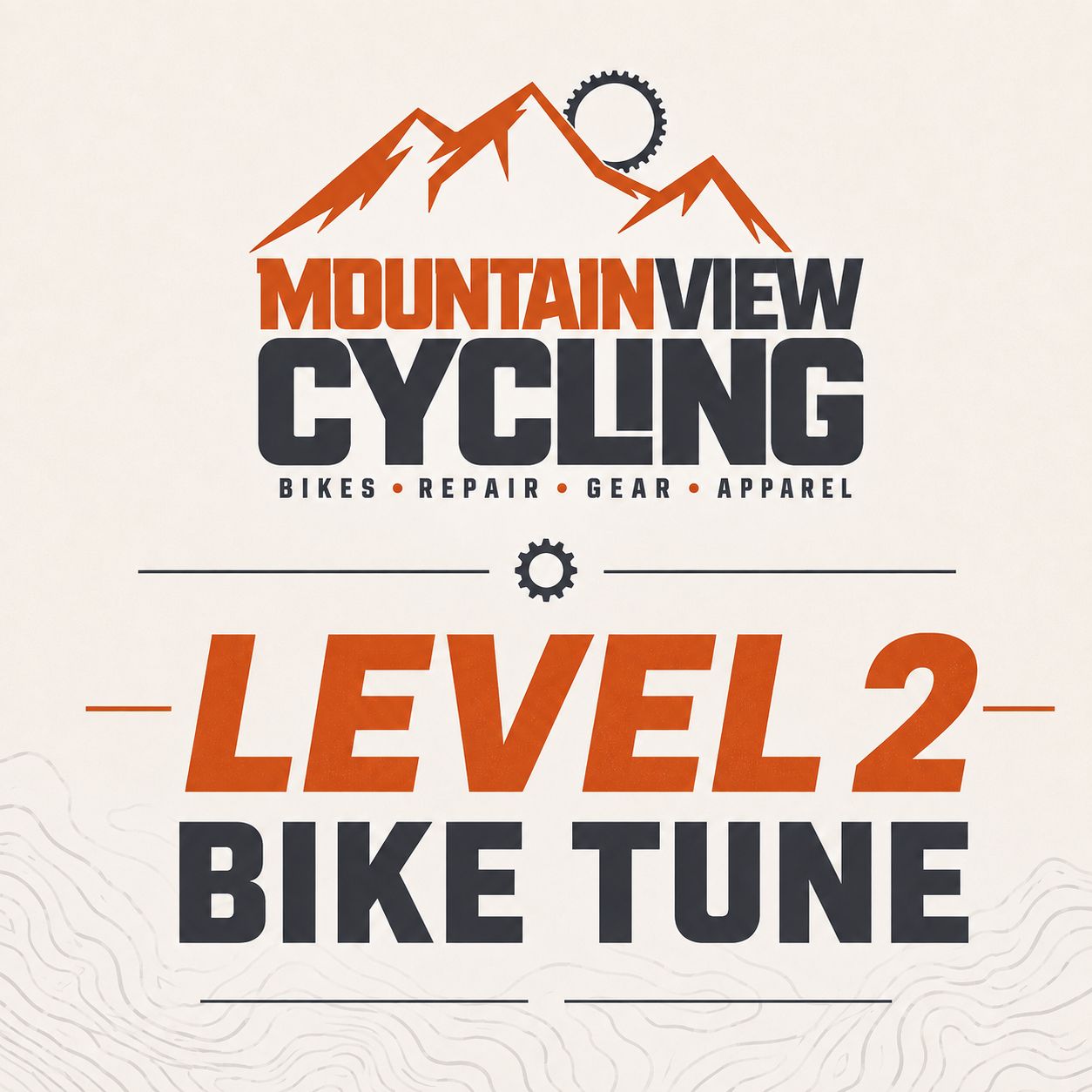 Bike Tune Level 2