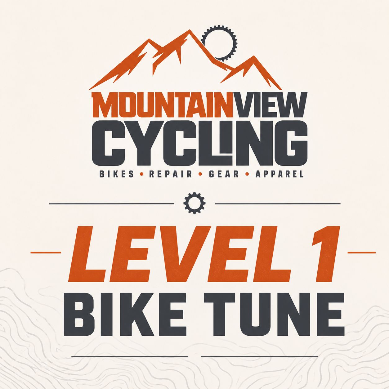 Bike Tune Level 1