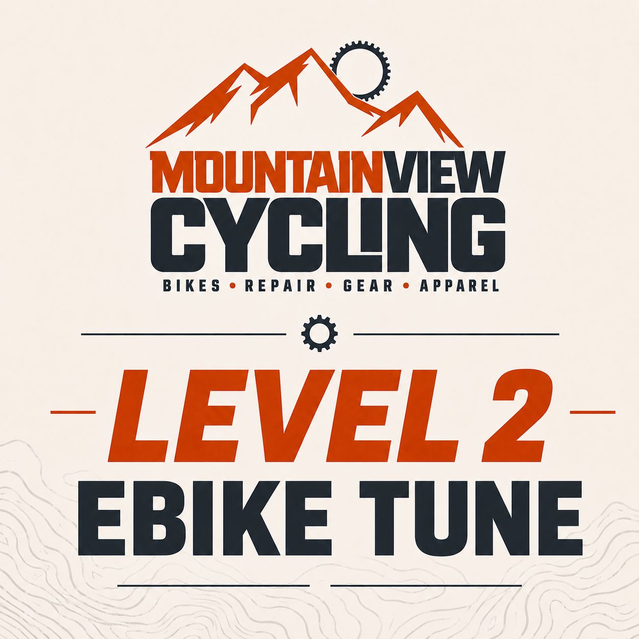 E-Bike Tune Level 2