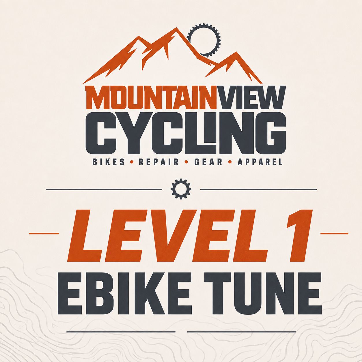 E-Bike Tune Level 1