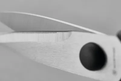 Shears Come Apart Black Wusthof 010