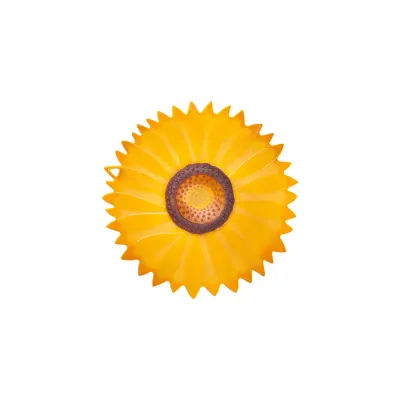 Lid Sunflower 6" 006