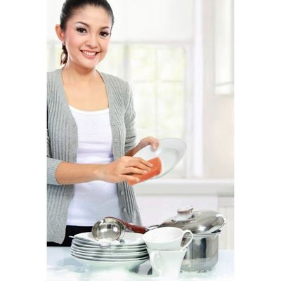 Scrubber/Sponge Peachy Clean 024