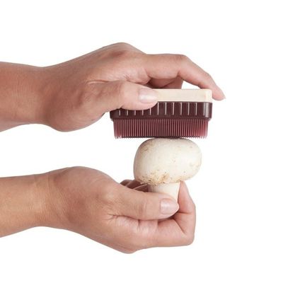 Veggie Brush Mushroom Harold 006