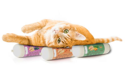 Gatos