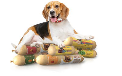 Perros