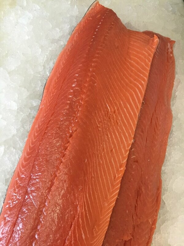 Troll King Salmon Filet