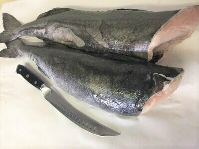 Black Cod, J-cut whole fish