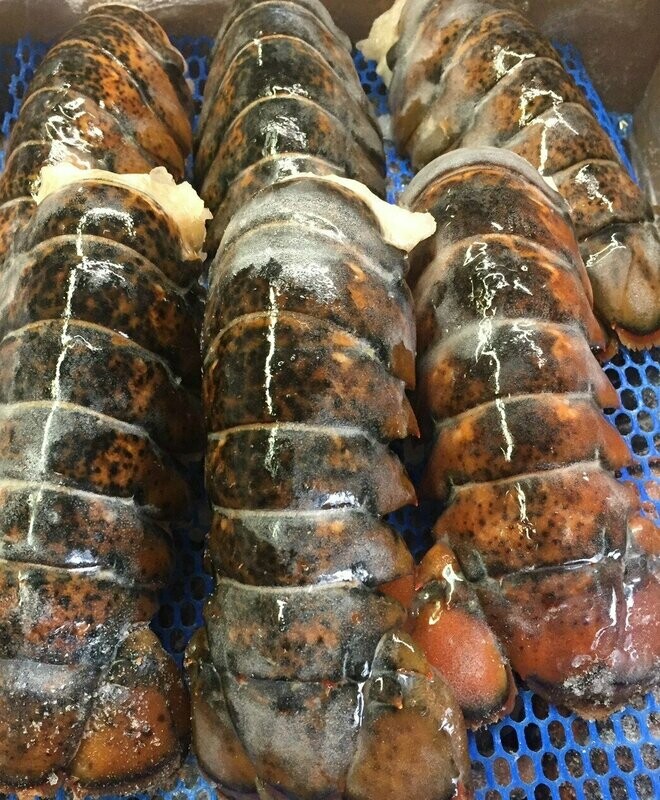 4 oz. Cold Water Lobster Tails