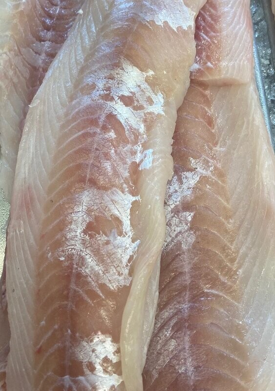 Ling Cod Filet