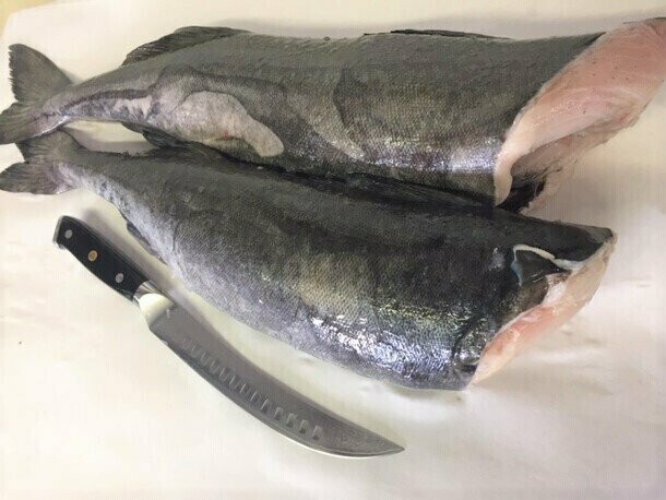 Fish
