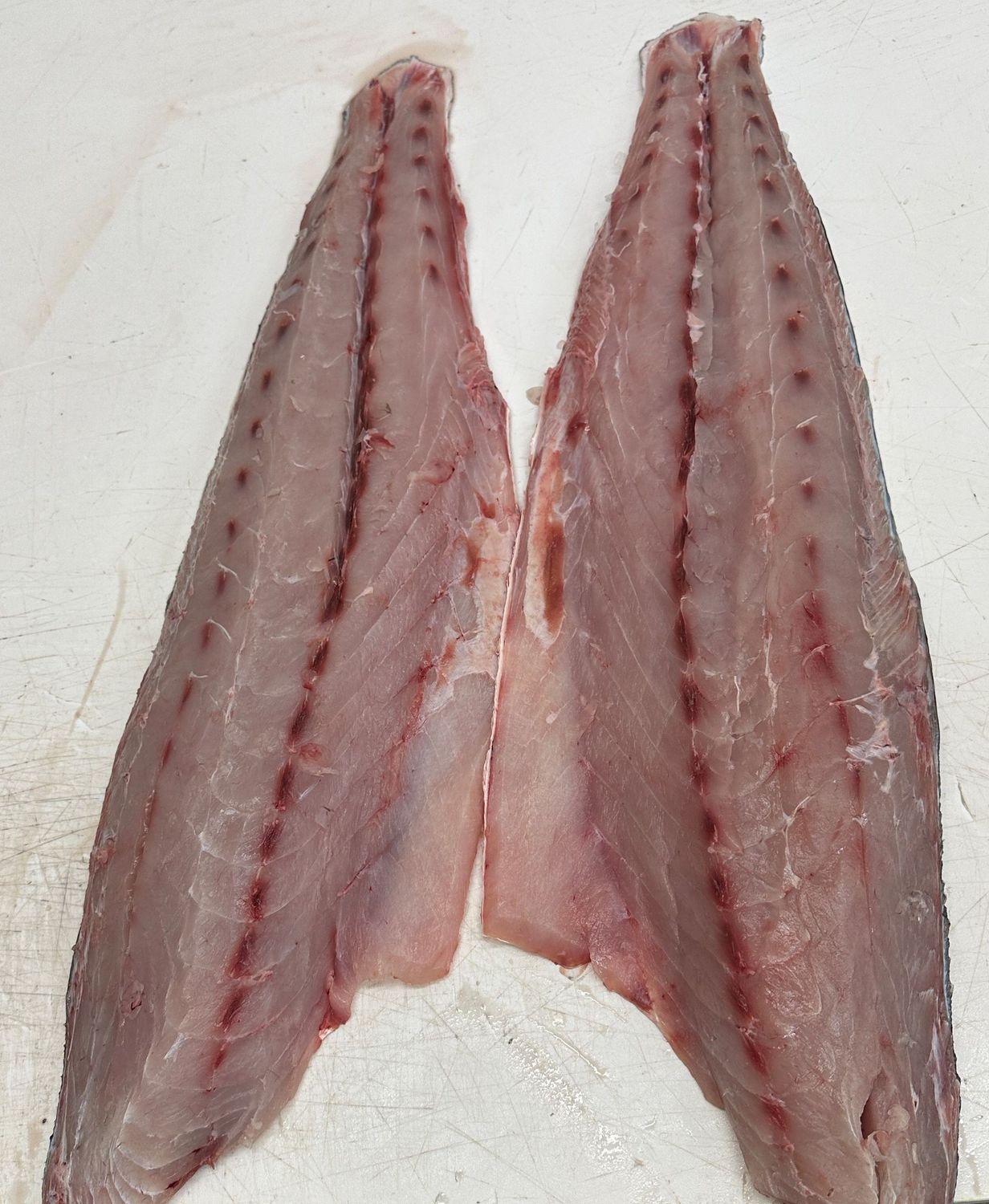 Mexican White Sea Bass Filet