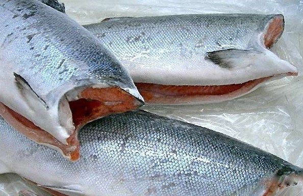 Fresh Alaskan Coho Salmon