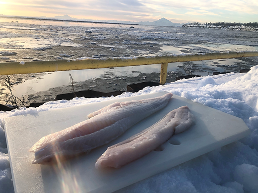 Northwest Pacific Cod Filet