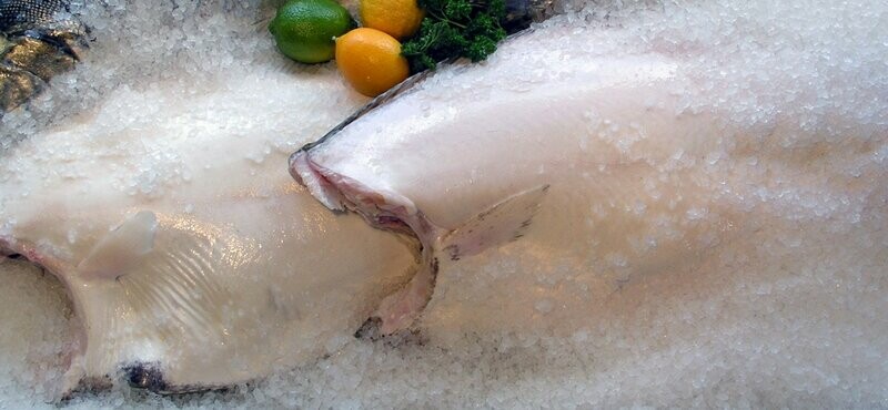 Fresh Northwest Halibut - Whole or 1/2 Fish Fresh Northwest Halibut - Whole or 1/2 Fish