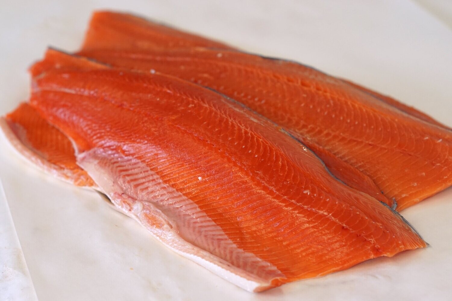 Fresh Coho Salmon Filet