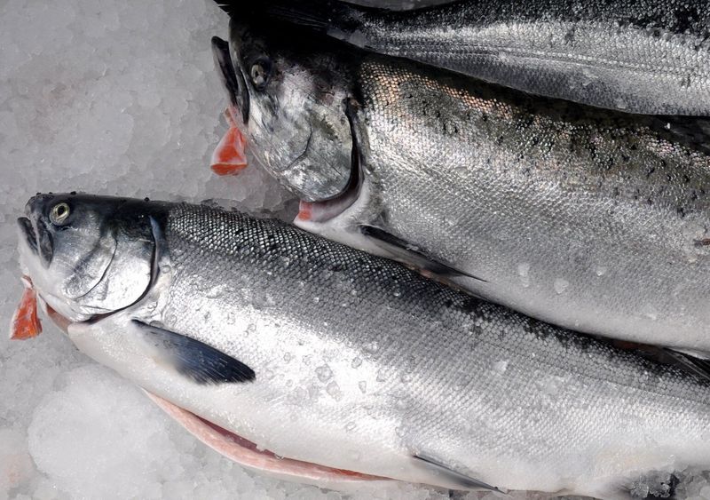 Fresh Coho Salmon