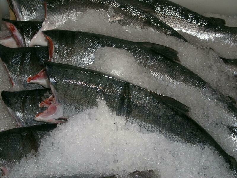 Wild Northwest Sockeye Salmon