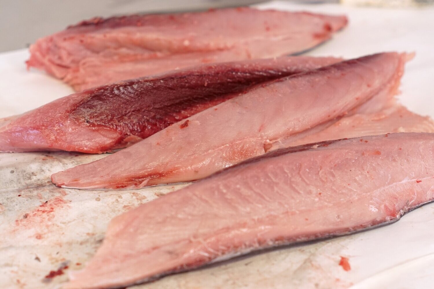 Northwest Albacore Tuna Loins Northwest Albacore Tuna Loins