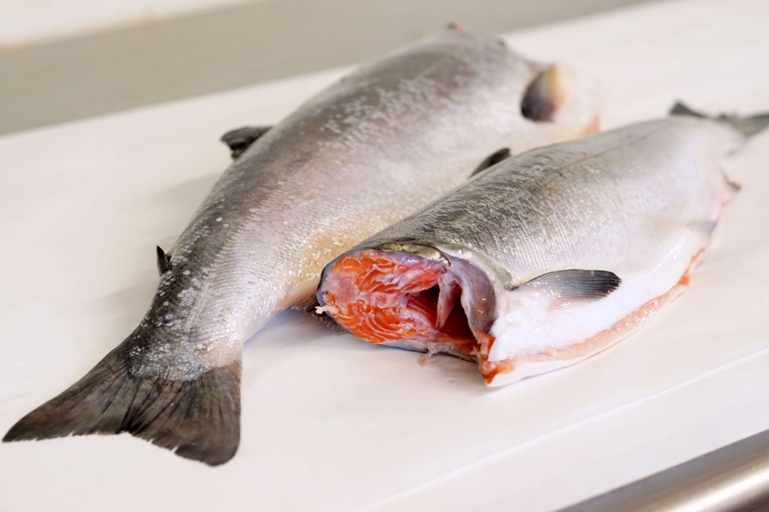 Wild Fresh Netl  King Salmon