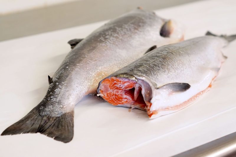 Wild Fresh Net King Salmon