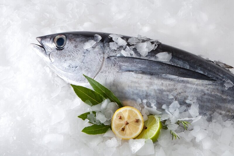 Washington Albacore Tuna