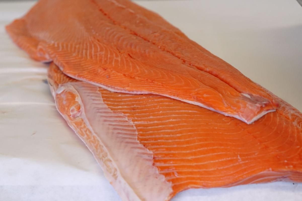 Red King Net Salmon Filet Red King Net Salmon Filet
