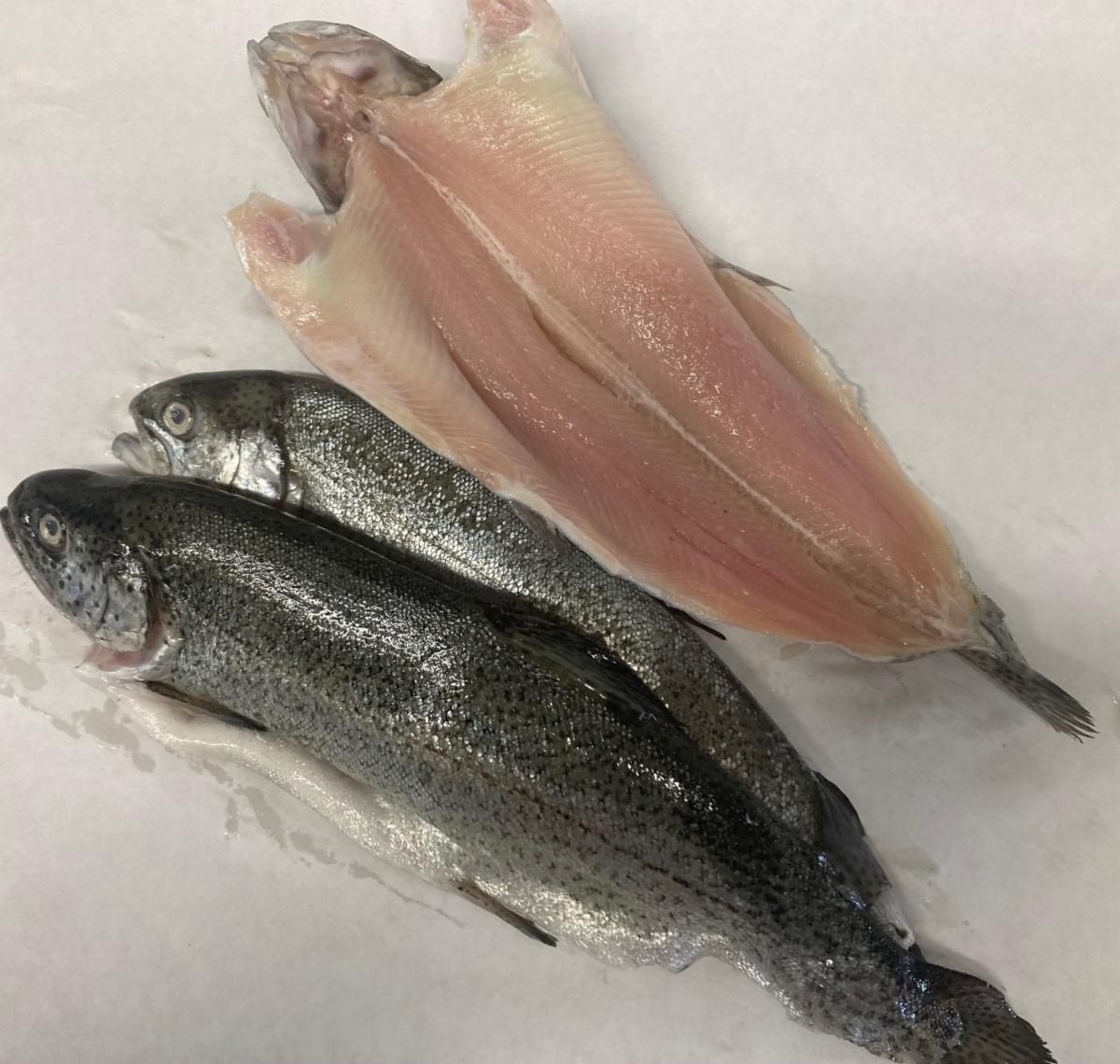 Butterflied Rainbow Trout