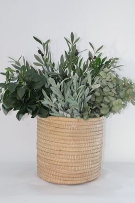 GREENERY AND FILLERS