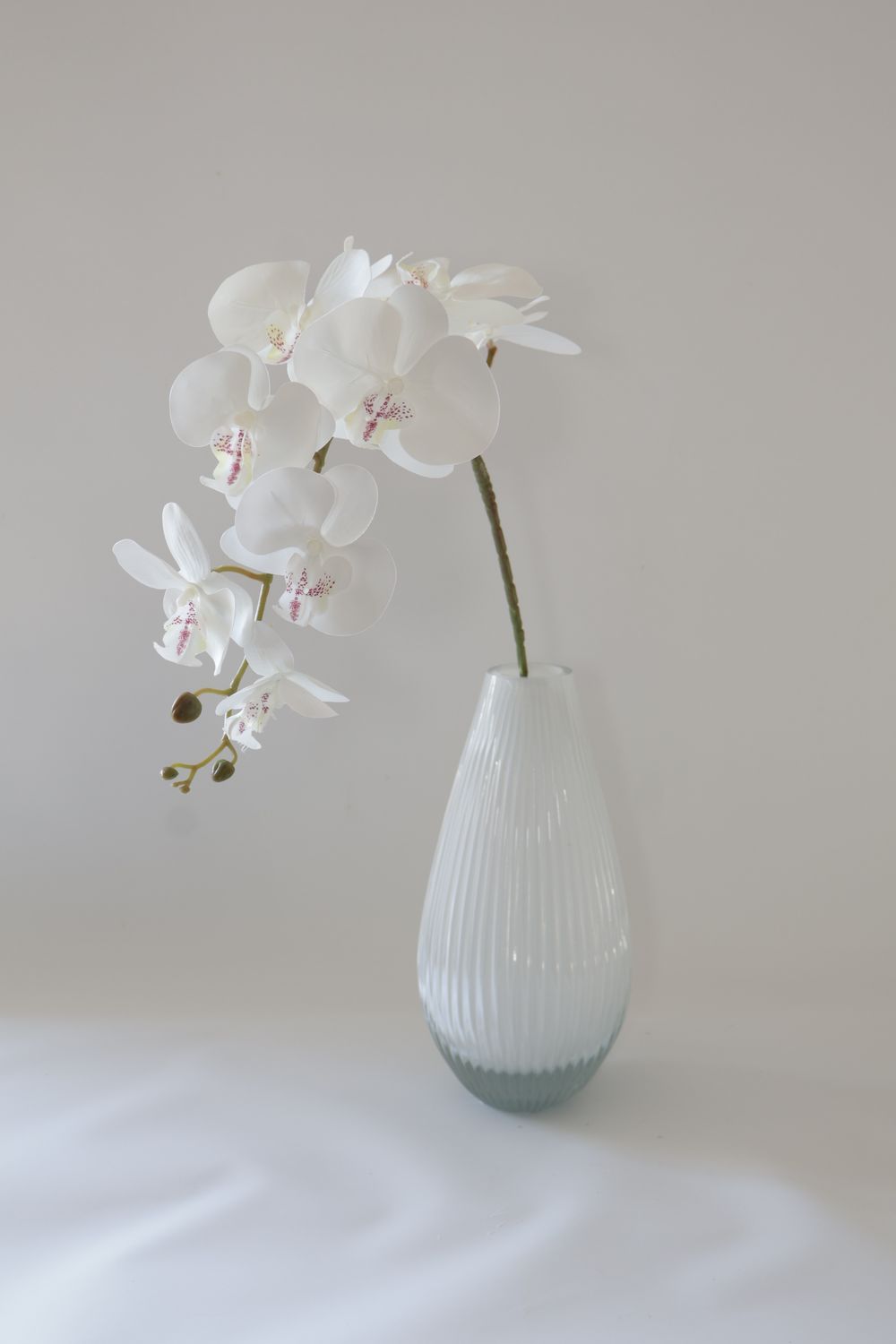 Orchid stem - 9 Flowers