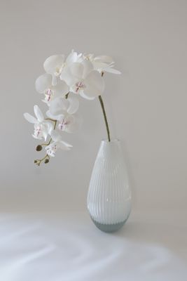 Orchid stem - 9 Flowers