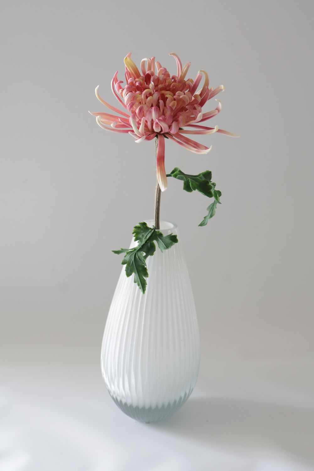 Chrysanthemums Real Touch Premium Flower