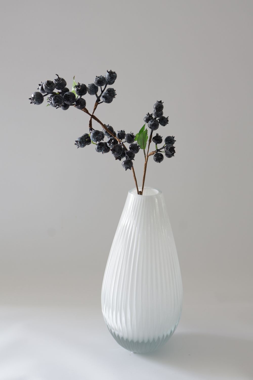 Blueberry Branch