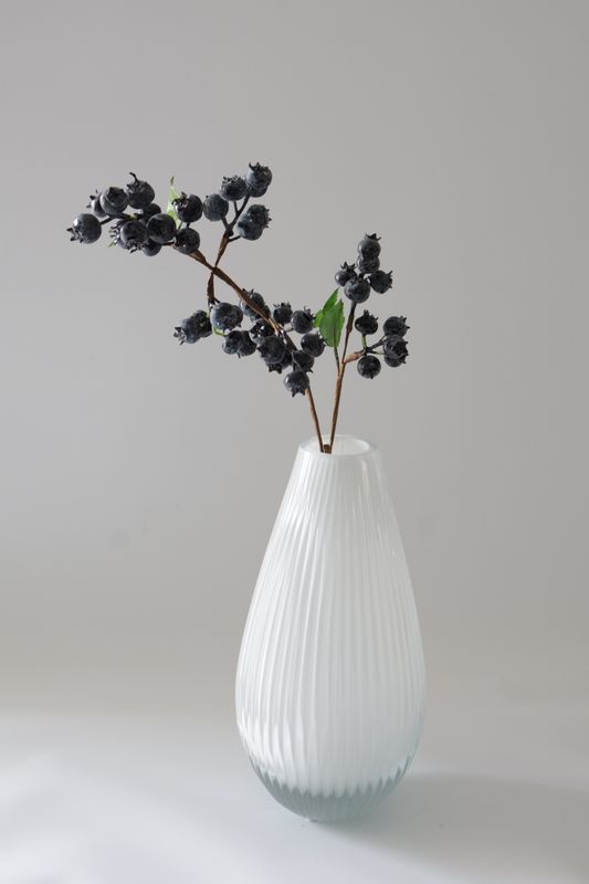 Blueberry Branch